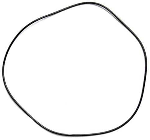 O-ring